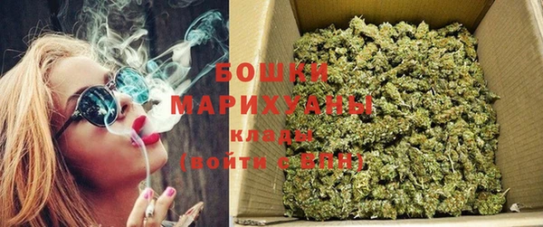 ПСИЛОЦИБИНОВЫЕ ГРИБЫ Верхний Тагил