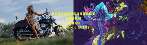 ГАЛЛЮЦИНОГЕННЫЕ ГРИБЫ Верхнеуральск