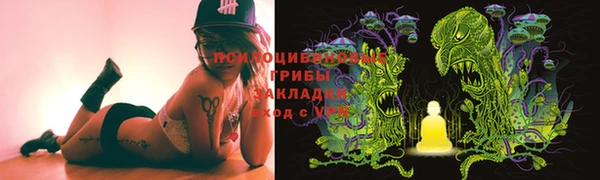 ГАЛЛЮЦИНОГЕННЫЕ ГРИБЫ Верхнеуральск