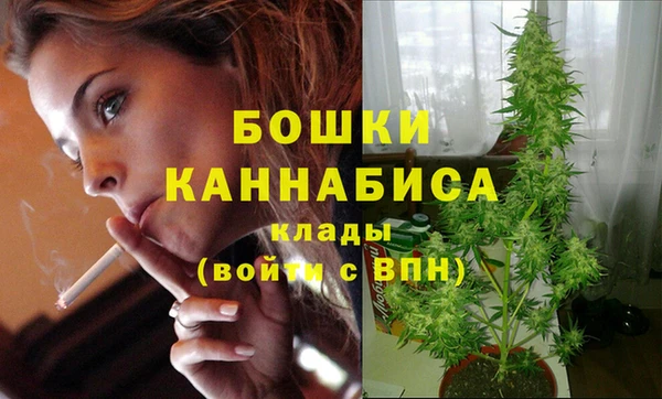ГАЛЛЮЦИНОГЕННЫЕ ГРИБЫ Верхнеуральск
