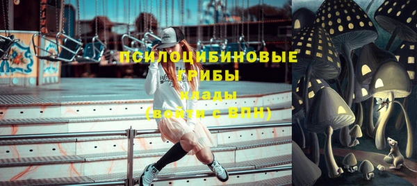 ГАЛЛЮЦИНОГЕННЫЕ ГРИБЫ Верхнеуральск
