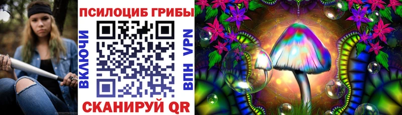 Галлюциногенные грибы мухоморы  цена   Камбарка 